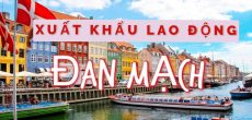 xuat-khau-lao-dong-dan-mach-nam-2024